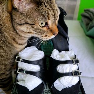 Very Fine Dance Shoes